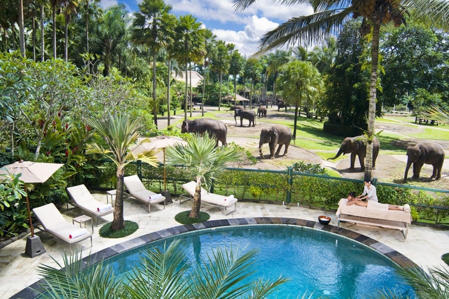 Mason Elephant Lodge Pool